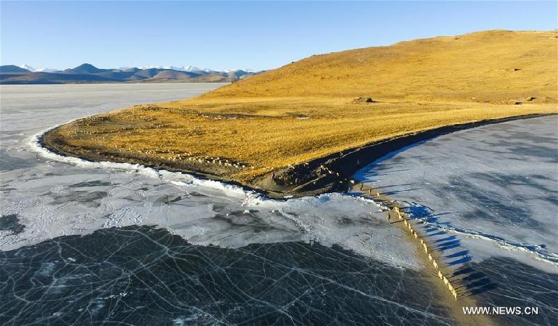 Hồ Puma Yumco có diện tích khoảng 880 km2, được ví như là viên ngọc xanh của cao nguyên Thanh Tạng. Nguồn cung cấp nước chủ yếu cho hồ là từ tuyết tan ra.