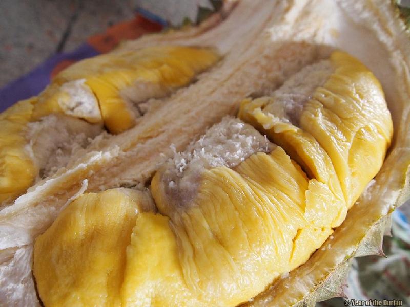 Sầu riêng là loại trái cây nhận được hai luồng ý kiến trái ngược của cả du khách lẫn người Việt. Người ăn được thì cho rằng sầu riêng thơm, đậm đà, lâu không ăn lại thấy nhớ. Người không ăn được cho rằng sầu riêng hôi, khó ngửi, khó ăn. Ảnh:Year of the Durian.
