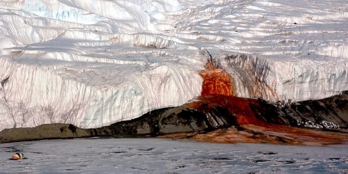 “Thác máu” màu đỏ ở Nam Cực cũng là một trong những địa điểm kỳ lạ trên thế giới. Được biết, loại chất lỏng chảy ra từ “Thác máu” thực chất là một loại nước giàu chất sắt, có nồng độ muối cao, bắt nguồn từ một hồ muối bên dưới sông băng Taylor. (Nguồn ảnh: The Richest)