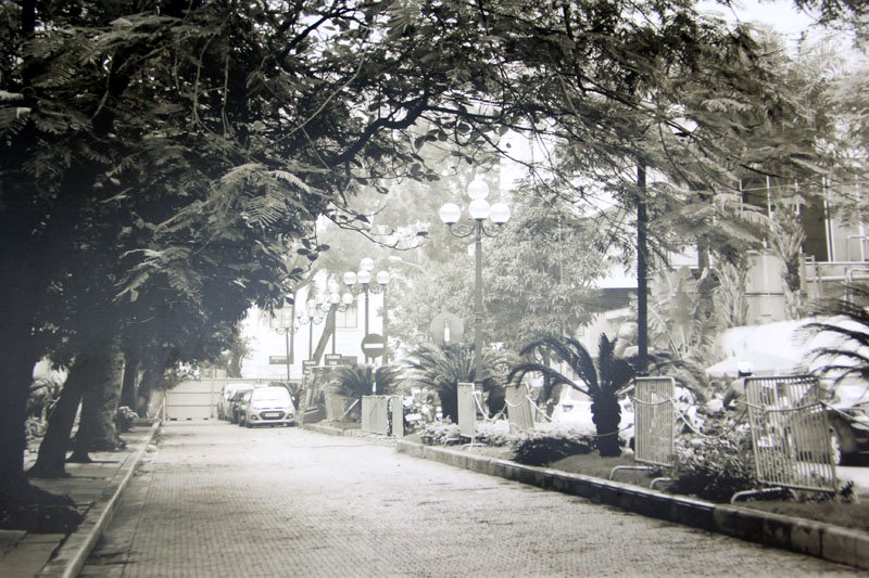 Nằm cạnh Toà án nên con đường này mang tên Rue Palais De Justice (1925), năm 1956, phố đổi tên là 19/12. Nay phố được cải tạo, dự kiến trở thành phố sách.