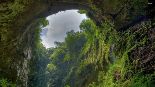 Khu rừng rậm rạp với thảm động thực vật phong phú sống trong hang. Nơi này có cả khỉ và dơi