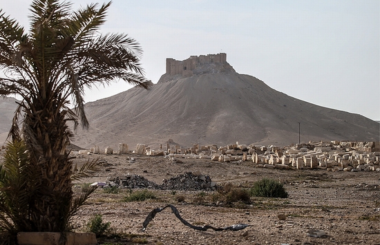 Thành phố cổ Palmyra