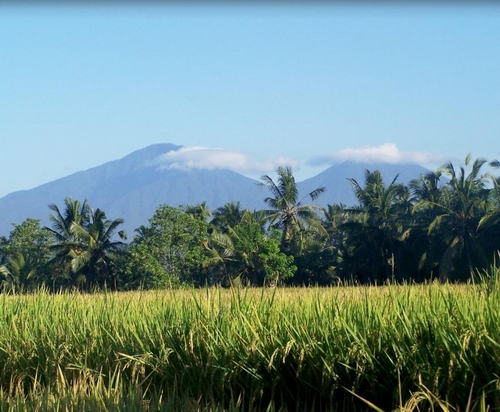 Theo gợi ý của TripAdvisor, những điểm đến không nên bỏ lỡ tại hòn đảo hàng đầu châu Á này là Waterbom Bali, Mayong Village Tracking Experience, Tirta Gangga. TripAdvisor cũng tổng hợp hơn 4800 hoạt động giải trí tại hòn đảo này trên trang web của mình để du khách có thể chọn lựa hành trình riêng cho mình khi đến đây.