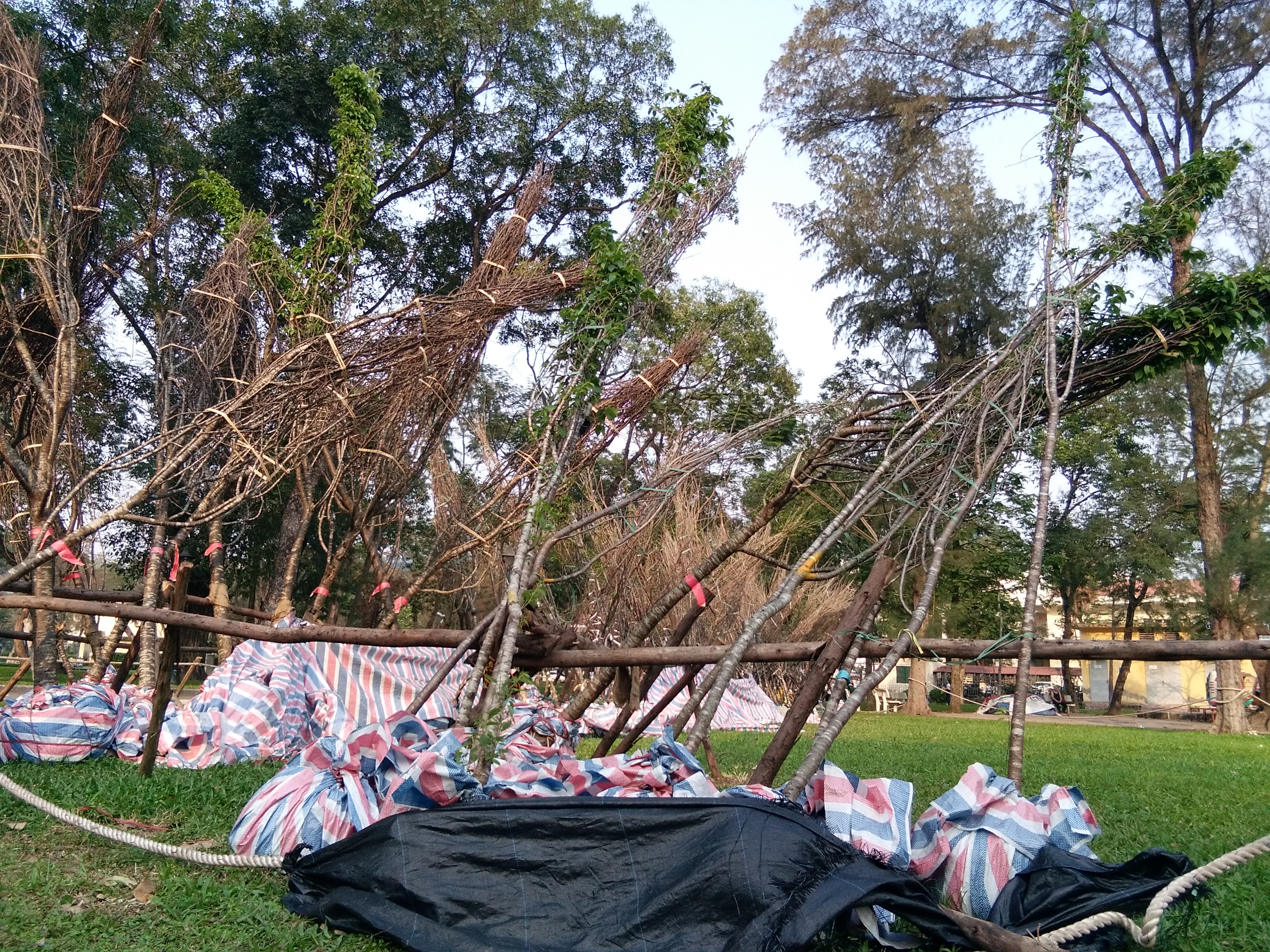 Hàng trăm cây anh đào nằm nghiêng ngả tại công viên Thống Nhất Hà Nội