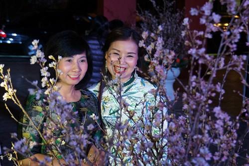 Dự trù nhiều hoa 'chống héo' cho lễ hội hoa anh đào Nhật Bản 2017 ảnh 12