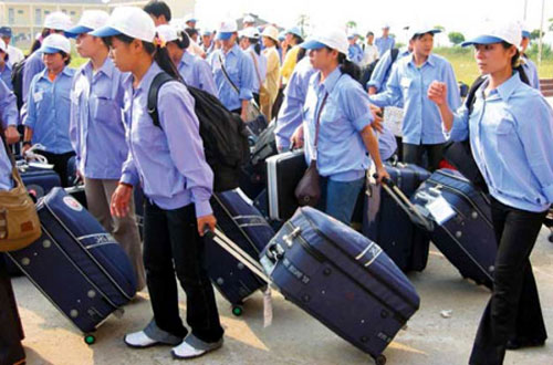 Dừng tuyển lao động đi Hàn Quốc vì nhiều người bỏ trốn