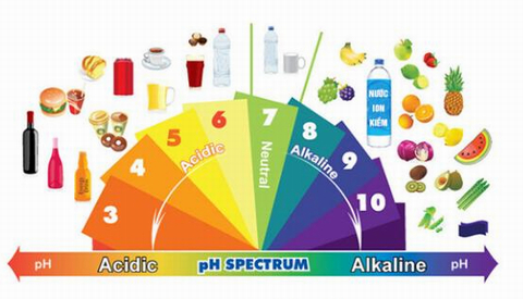 Bảng các thực phẩm tính kiềm và axit