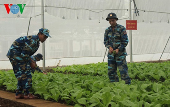 Vườn rau sạch công nghệ cao của Vùng Cảnh sát biển 3