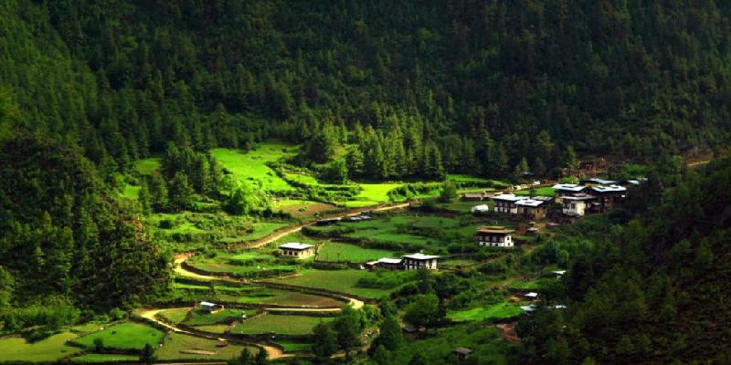8. Bhutan là đất nước duy nhất trên thế giới có chỉ số carbon âm: Luật pháp Bhutan quy định 60% diện tích đất nước bắt buộc luôn được bao phủ bởi rừng cây. Điều đó có nghĩa là Bhutan hấp thụ nhiều carbon hơn lượng carbon thải ra không khí, không làm hại đến môi trường. Ảnh: BBC.