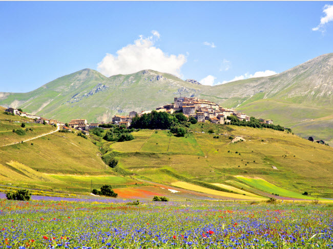 Thị trấn nhỏ Castellucio di Norcia sits nằm gần thành phố Norcia ở Umbria, Italia. Nơi đây nổi tiếng với lễ hội hoa kéo dài từ cuối tháng 5 đến đầu tháng 6 hằng năm.
