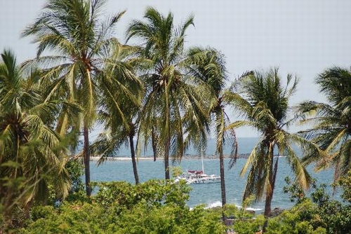 Tamarindo là địa điểm chính dành cho lướt sóng và câu cá, lặn biển và phơi nắng. Rùa luýt làm tổ dọc theo bãi biển từ tháng 10 đến tháng 5 và, để có một vài cái 