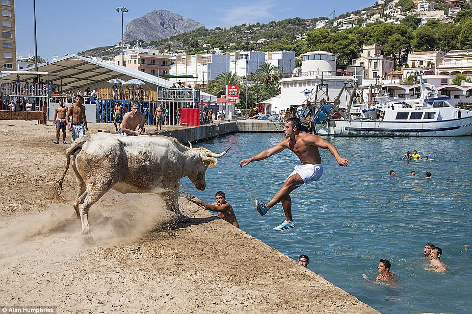 Nhiếp ảnh gia Alan Humphries đặt tên cho bức ảnh này là “Đuổi theo tôi”. Ảnh được chụp tại một lễ hội mùa hè ở Cảng Javea (Costa Blanca, Tây Ban Nha). Những người tham dự sẽ cố gằng tìm cách để con bò đuổi theo mình và nhảy xuống nước.