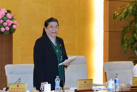 Phó Chủ tịch Quốc hội Tòng Thị Phóng