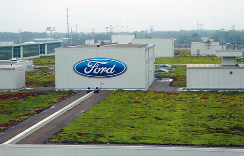 Thảm thực vật trên mái một nhà máy của Ford.