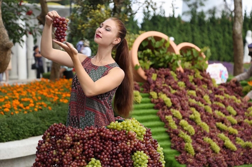 Du khách đua tài ép nho tươi tại Lễ hội vang Sun World Ba Na Hills