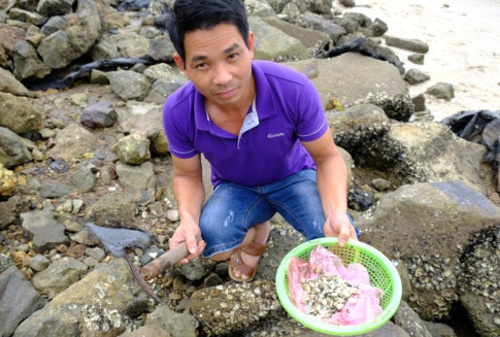 Anh Nguyễn Đăng Doanh (Hà Nội) đã thuê búa và rổ nhựa với giá 20.000 đồng để cào hà