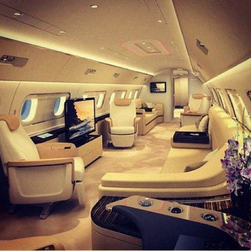 Hình ảnh bên trong phi cơ của công chúa Dubai. 