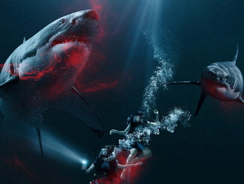 Nghẹt thở với trò chơi tử thần ngắm cá mập trong 'Hung thần đại dương'