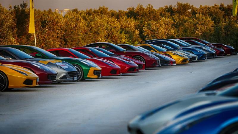 Hơn 100 siêu xe Ferrari từ hơn 30 quốc gia đã cùng họp mặt tại Borgo Egnazia, Italy trước khi diễu hành trên những con đường ở các khu vực lân cận. Phần lớn những chiếc xe tham gia buổi diễu hành là các model mới của Ferrari như 488 Spider, California T, F12tdf và GTC4Lusso. 