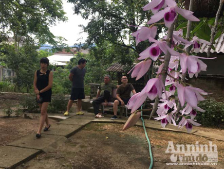 Nhiều du khách từ Hà Nội và các tỉnh thành về tận vườn lan huyền thoại để chiêm ngưỡng