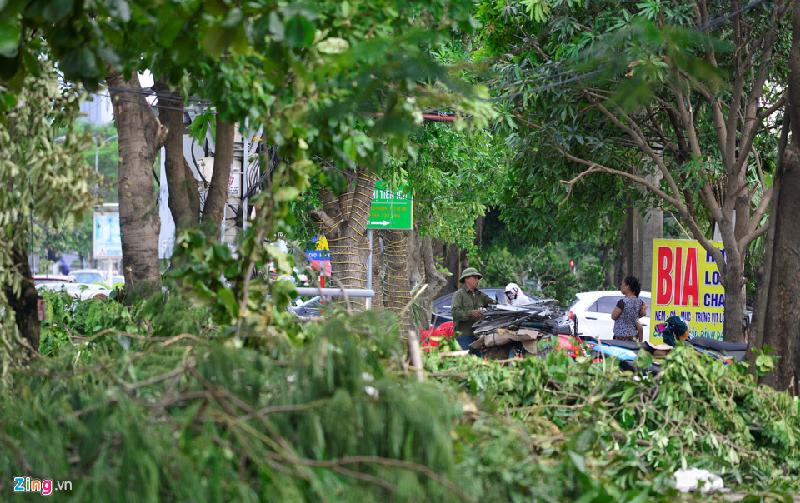 Trên đường Lê Lợi, Nguyễn Trãi... hàng trăm cây xanh to nhỏ gãy đổ nằm la liệt trên vỉa hè, chắn hết lối đi bộ.