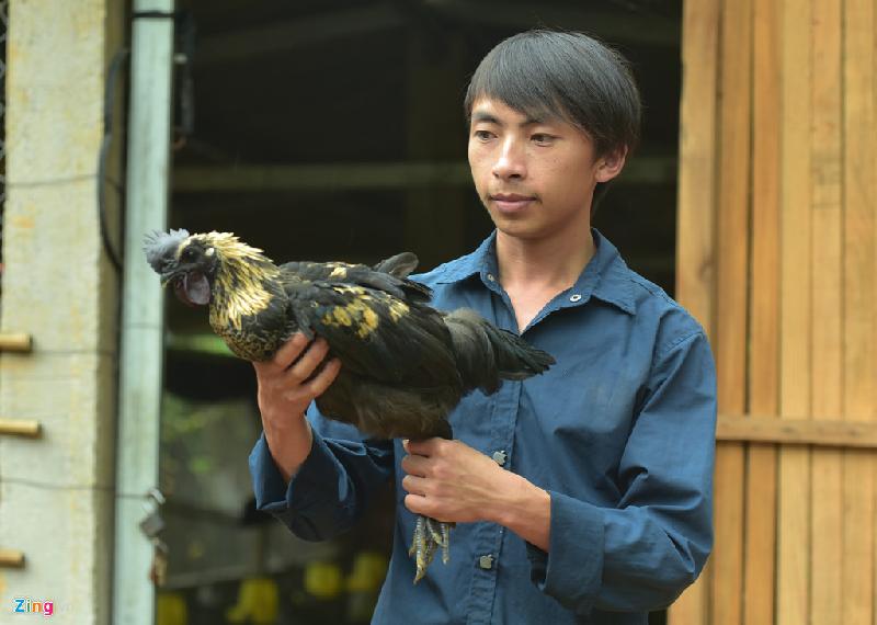 Có quy mô lớn nhất là trang trại của Vàng A Công. Sau khi tốt nghiệp Cao đẳng Thú y ở Thái Nguyên, Công trở về quê đầu tư hơn 100 triệu đồng mở trang trại nuôi 1.000 con gà đen.