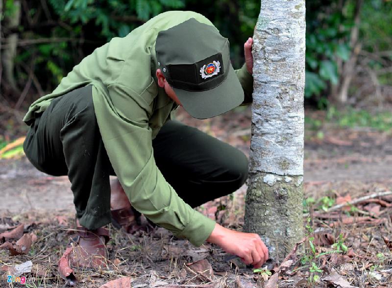 Ngày 18/7, Công an huyện Xuân Lộc (Đồng Nai) cùng các đơn vị nghiệp vụ tổ chức khám nghiệm hiện trường, lấy mẫu cây để xét nghiệm, điều tra vụ hàng trăm cây gỗ dầu và gỗ sao bị đầu độc.