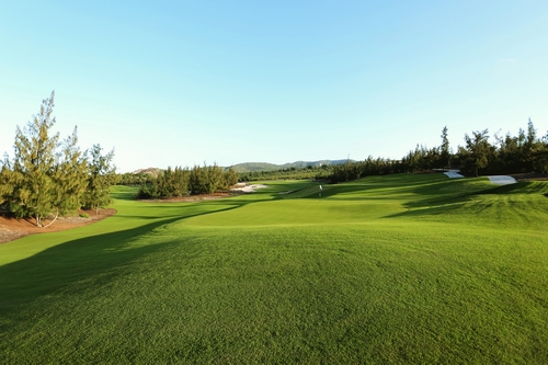 Sân Golf FLC Samson Golf Links.