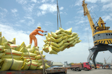 4 doanh nghiệp Việt trúng thầu cung cấp gạo cho Philippines