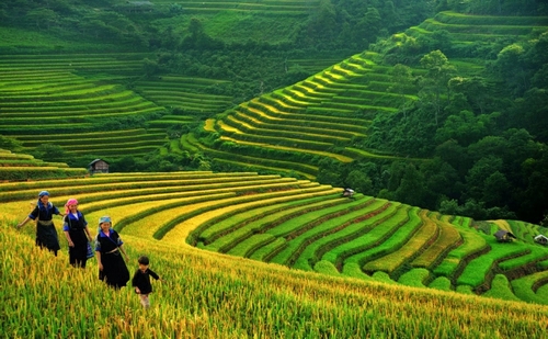 Những điểm đến nổi tiếng nhất Việt Nam- Phần 1
