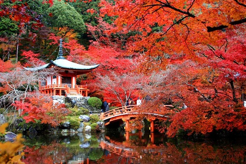 Những năm đầy đây du lịch vào mùa thu có sự tăng trưởng mạnh. Ảnh mùa thu Nhật Bản. Ảnh: Lan Phương