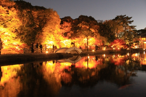 Khám phá nét đẹp đặc trưng của khu vườn kiểu Nhật tại Tokugawaen- Nagoya