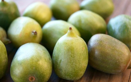 Khác với những trái kiwi to thông thường, những trái kiwi tí hon này không có lông bề ngoài xù xì mà có lớp vỏ ngoài trơn và có thể ăn được cả vỏ