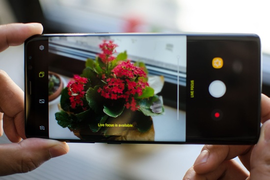 Mặc dù Pixel 2 XL cũng hỗ trợ chế độ chụp ảnh Chân dung, nhưng khả năng chụp ảnh chân dung trên Galaxy Note 8 được gọi là Live Focus lại ấn tượng hơn. Bởi người dùng có thể điều chỉnh độ mờ trên ảnh chân dung cho ảnh cả trước và sau khi chụp. 