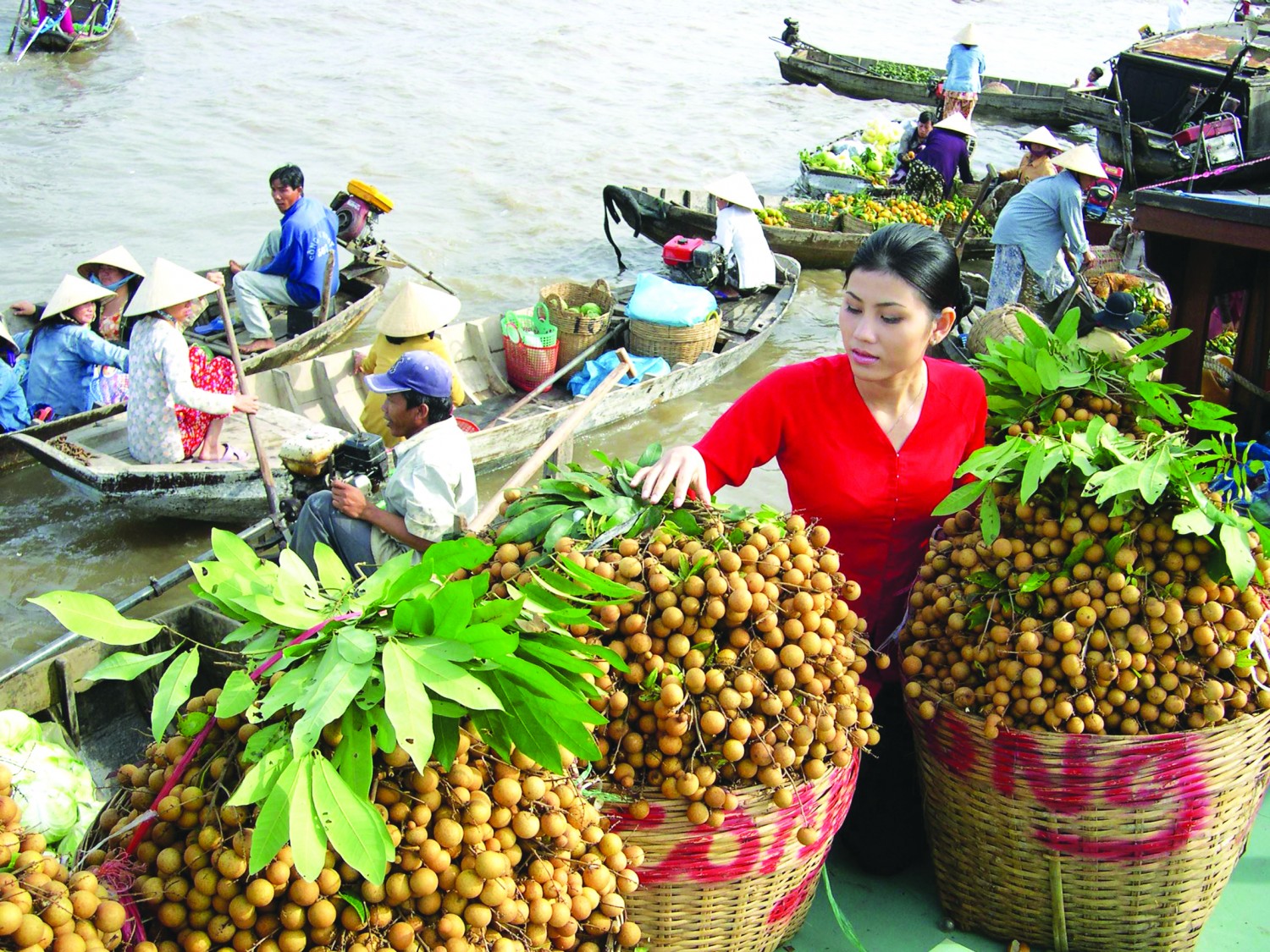 Hoa quả của Việt Nam đã thâm nhập vào nhiều thị trường khó tính. Ảnh minh họa