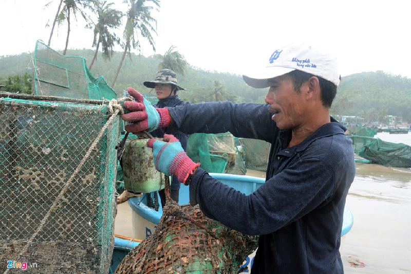 Anh Nguyễn Văn Thể bưng lồng tôm bị hư hỏng lên bờ vá lưới, buộc thép trước khi thả lại xuống biển. 