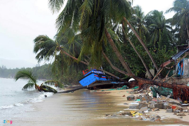 Một tàu cá cũng bị bão số 12 đánh dạt vào bờ tại xã Xuân Thịnh. Bão số 12 được xem là cơn bão mạnh trong 30 năm qua đổ bộ vào 2 tỉnh Khánh Hòa, Phú Yên.