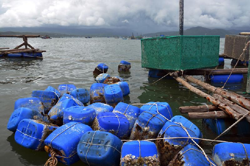 Những lồng tôm hùm, thùng phao còn sót lại sau cơn bão số 12 đổ bộ vào khu vực Khánh Hòa, Phú Yên.