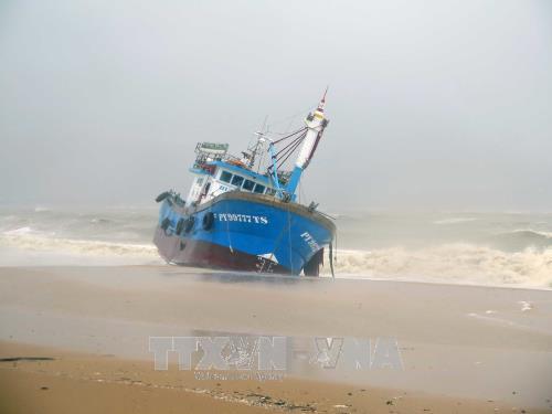 Tàu cá PY99777TS của ngư dân Phú Yên bị sóng đánh dạt vào bờ biển thành phố Quy Nhơn. Ảnh: Phạm Kha – TTXVN.