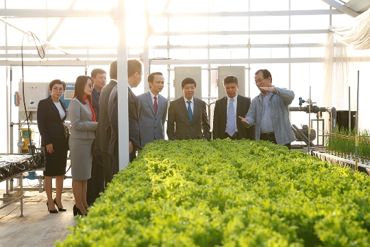 Tập đoàn có chuyến tham quan Trang trại nông nghiệp ứng dụng công nghệ cao Farmdo