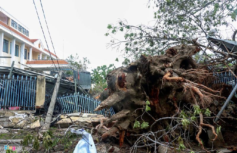 Theo UBND TP Nha Trang, do khối lượng cây cối quá lớn, phải ít nhất 2 ngày nữa mới dọn dẹp xong.