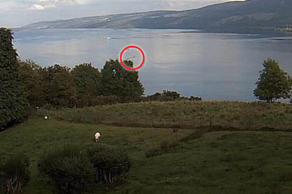 Bức ảnh mới nhất nghi là quái vật hồ Loch Ness xuất hiện.