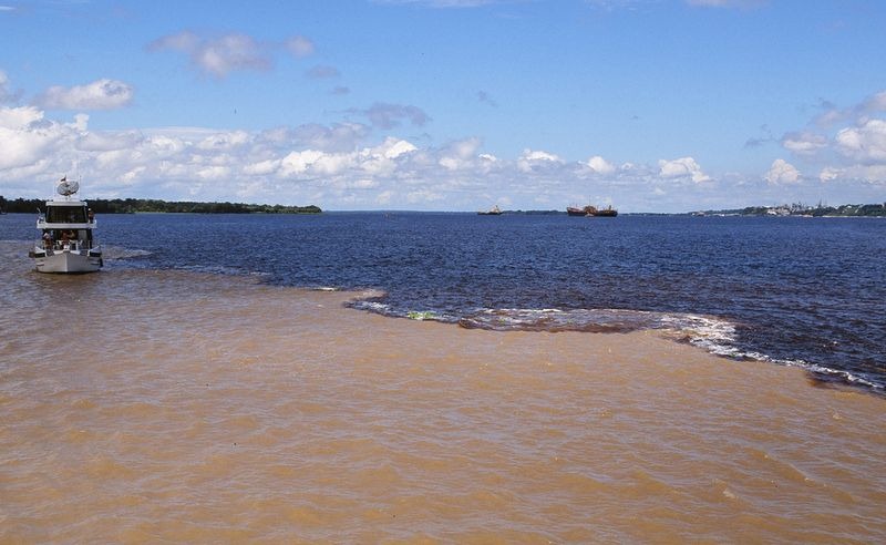 Rio Negro là nhánh lớn nhất của sông Amazon và là sông nước đen lớn nhất thế giới. Tên của dòng sông này cũng có nghĩa là “sông Đen”.