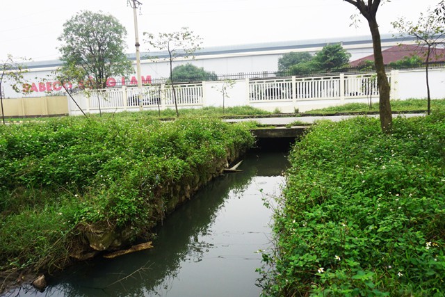 Tỉnh hướng dẫn dân khởi kiện công ty Sabeco Sông Lam vì gây ô nhiễm