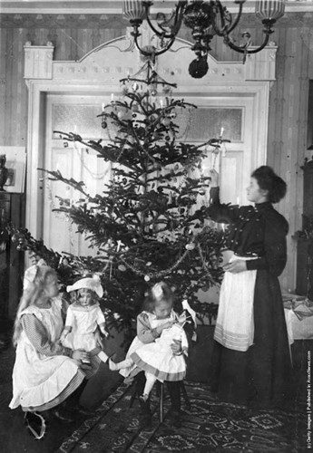 Giáng sinh là kỳ nghỉ lễ quan trọng ở nhiều nước trên thế giới trong đó có Mỹ. Vào ngày này, nhiều gia đình trang hoàng lộng lẫy nhà cửa với những cây thông lớn có đèn màu nhấp nháy cũng như mua quà cho con trẻ và tổ chức những bữa tiệc sum họp gia đình, bạn bè. Trong ảnh là một phụ nữ trang hoàng nhà cửa với cây thông lớn đặt ở phòng khách năm 1905.