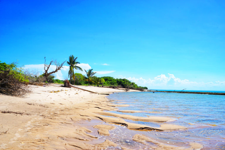 Trước bãi biển xanh ngọc bích, bãi cát trắng mịn, bạn có thể làm gì hơn nếu không lặn biển. Lặn biển tại Đảo Magaruque là hoạt động không thể thiếu trong những ngày bạn làm thượng đế tại nơi đây.