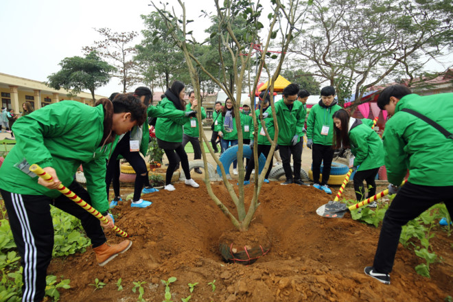Sinh viên đến từ chương trình Donghari (Hàn Quốc) và trường Đại học Kinh tế Quốc dân (Việt Nam)  trồng cây bưởi tại sân trường.