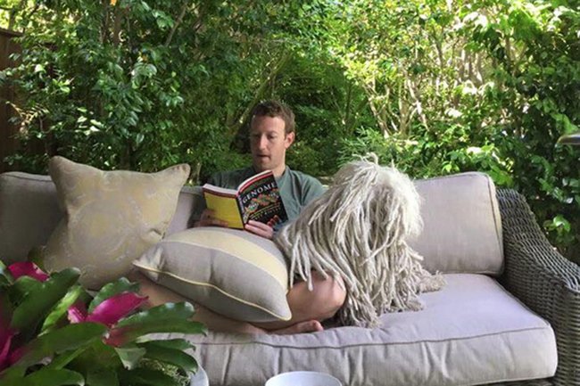 Mark ngồi đọc sách bên chú chó nhỏ