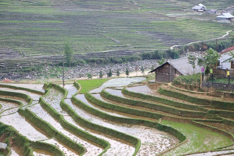 Khách đến du lịch Mù Cang Chải mùa nước đổ còn có dịp quan sát khung cảnh lao động hăng say của người Mông (Ảnh Internet)